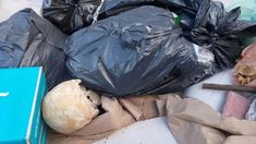 El cráneo humano fue hallado en Mar del Plata. El cráneo humano fue hallado en Mar del Plata.