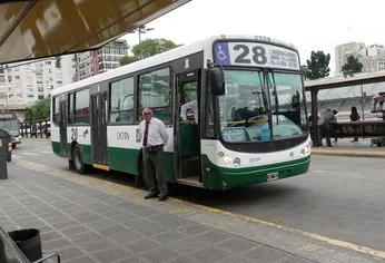 C5N | colectivo dota