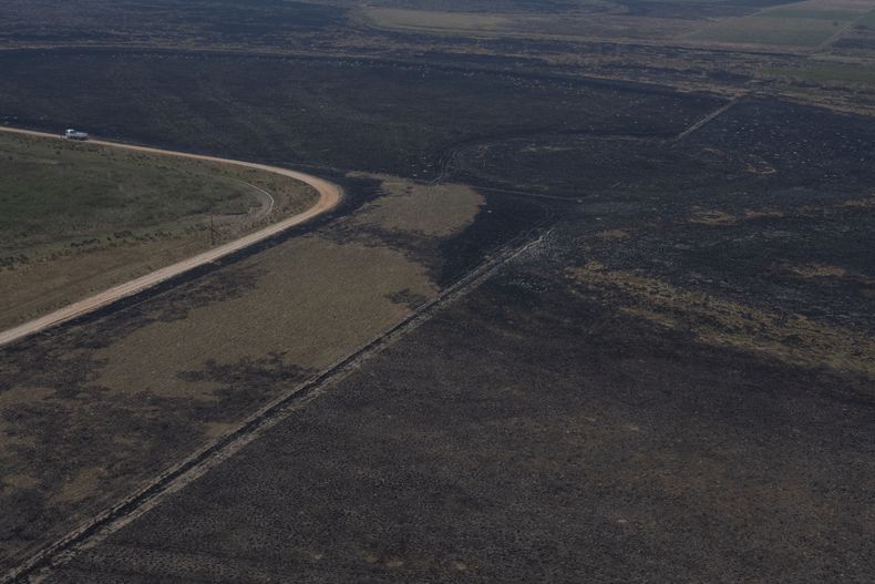 Los incendios ya consumieron más de 800 mil hectáreas.&nbsp;