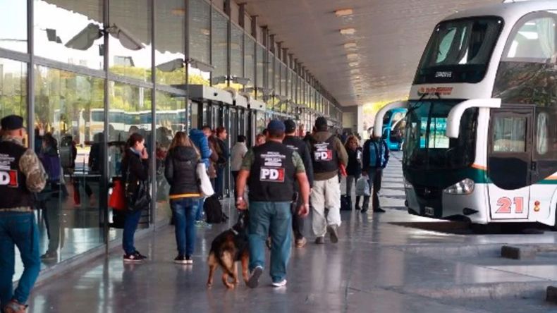 La terminal de Rosario fue escenario de maltrato animal.&nbsp;