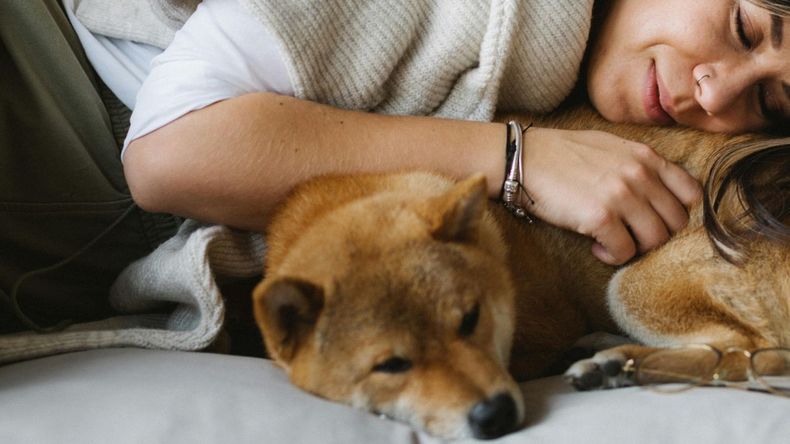 Tratar al perro como humano altera su conducta y sus rutinas naturales.