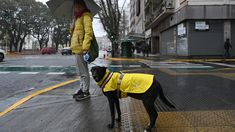 El SMN informó que las provincias bajo alerta son Buenos Aires, Santa Fe, Corrientes, Misiones, Chaco, Formosa, Santiago del Estero, Salta, Jujuy, Chubut y Santa Cruz. El SMN informó que las provincias bajo alerta son Buenos Aires, Santa Fe, Corrientes, Misiones, Chaco, Formosa, Santiago del Estero, Salta, Jujuy, Chubut y Santa Cruz.