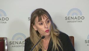 Juliana Di Tullio, senadora del FdT.