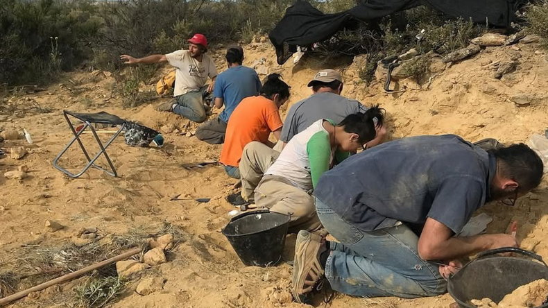 Paleontólogos trabajando durante una campaña. 