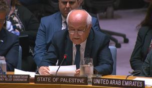 Riyad Mansour en la ONU.