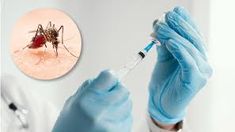 Dengue: el Gobierno incorporará la vacuna de forma focalizada según la situación epidemiológica de cada jurisdicción Dengue: el Gobierno incorporará la vacuna de forma focalizada según la situación epidemiológica de cada jurisdicción