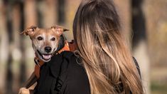 Cómo podés saber si tu perro te quiere según un estudio Cómo podés saber si tu perro te quiere según un estudio
