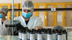 La UBA entregará repelente gratuito contra el dengue de producción propia: cuándo y cómo conseguirlo. La UBA entregará repelente gratuito contra el dengue de producción propia: cuándo y cómo conseguirlo.