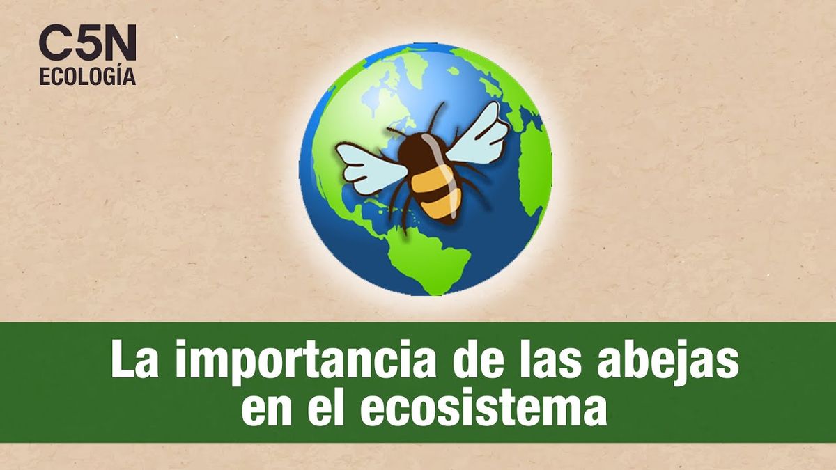 ¿Qué pasaría si desaparecieran todas las abejas del mundo?