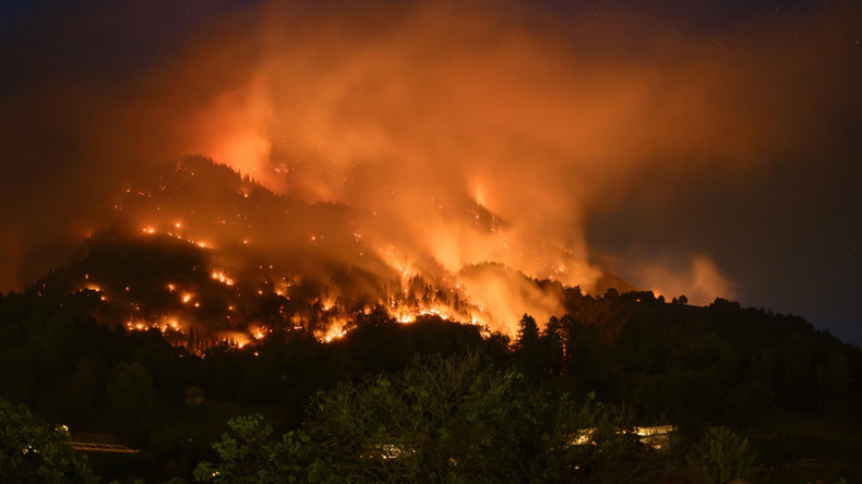 Europa se vio azotada por una serie de incendios forestales este año.