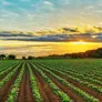 El oficialismo y la oposición buscan estrategias para salir de la crisis por la derogación de la Ley de Tierras.