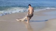 Tiburón en las playas de Long Island. Tiburón en las playas de Long Island.