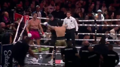 La pelea entre Logan Paul y Dillon Danis se suspendió en el sexto round. La pelea entre Logan Paul y Dillon Danis se suspendió en el sexto round.