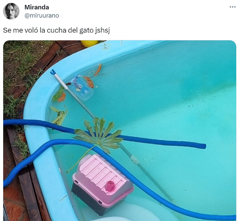 La publicación de otro usuario.