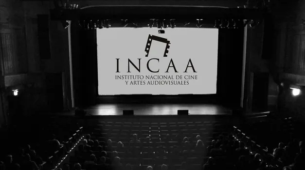 El Gobierno nombró a un Ingeniero Industrial como responsable interino a cargo del Incaa