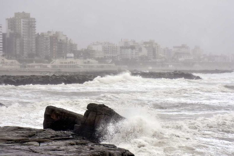 En Mar del Plata