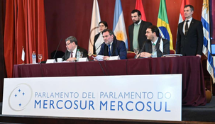 Candidatos al Parlasur, una elección atada a la nacional.&nbsp;