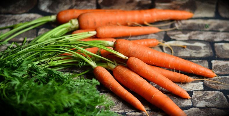 ¿Cómo conservar zanahorias?