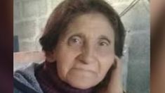 La jubilada desaparecida tiene 80 años. La jubilada desaparecida tiene 80 años.