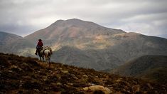 La posibilidad de cabalgar por la puna y reconectarse con la naturaleza.