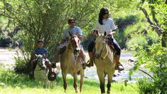 Los turistas eligieron destinos cercanos para viajar durante el fin de semana largo.