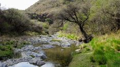 Si se busca una localidad rural y campestre en Córdoba, Ambul es una de las mejores opciones para conocer. Si se busca una localidad rural y campestre en Córdoba, Ambul es una de las mejores opciones para conocer.