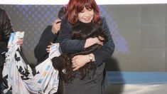 Cristina Kirchner abrió una cuenta de TikTok: Soy pingüina, colectiva