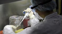 Confirmaron transmisión comunitaria de la variante Delta en Salta Confirmaron transmisión comunitaria de la variante Delta en Salta