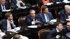 El bloque que lidera Miguel Ángel Pichetto en la Cámara baja le puso un últimatum a Milei.