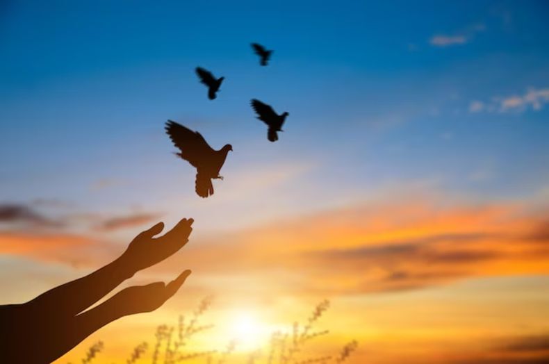 ¿Sirven las religiones y los grupos para fomentar o acicatear nuestro crecimiento espiritual?&nbsp;