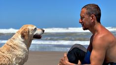 El dolor de Gimena Accardi y Nicolás Vázquez tras el fallecimiento de su perra El dolor de Gimena Accardi y Nicolás Vázquez tras el fallecimiento de su perra