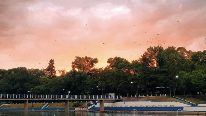 Salto, Provincia de Buenos Aires 