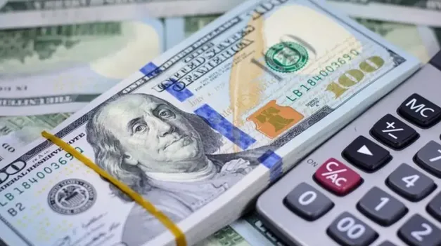 Javier Milei se entusiasma con la salida del cepo.