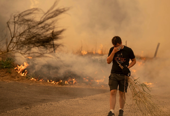 Los incendios se cobraron la vida de 12 personas.