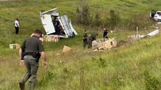 Los monos que eran transportados por una carretera de Mississippi escaparon del cautiverio.