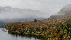 Prohibieron el fuego en los Parques Nacionales de la Patagonia.