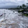 Alerta en Japón por un sismo de gran escala: activaron el alerta de tsunami y ordenaron evacuaciones Alerta en Japón por un sismo de gran escala: activaron el alerta de tsunami y ordenaron evacuaciones