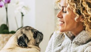 Por qué no hay que hablarles de esta forma a los perros.