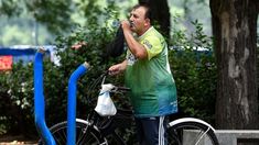 La alerta por calor extremo rige para las provincias de Misiones, Formosa, Chaco, Salta, Corrientes, Santa Fe, Entre Ríos, Santiago del Estero, Córdoba y Buenos Aires. La alerta por calor extremo rige para las provincias de Misiones, Formosa, Chaco, Salta, Corrientes, Santa Fe, Entre Ríos, Santiago del Estero, Córdoba y Buenos Aires.