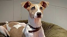 Gran Hermano tomó una fuerte decisión con Arturo Gran Hermano tomó una fuerte decisión con Arturo