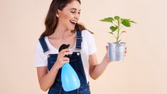 Con pocas acciones podés hacer más duraderas las plantas de tu hogar.