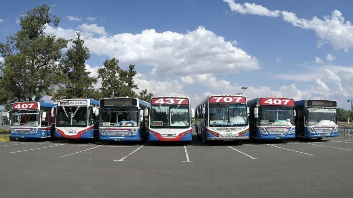 Colectivos de Zona Norte: cómo se cubren los recorridos de l