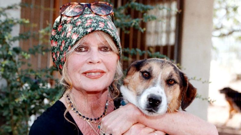 Brigitte Bardot y su profundo amor por los animales.