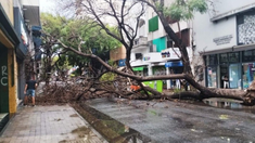 Los vientos fueron de 102km/h Los vientos fueron de 102km/h
