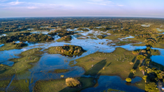 El Pantanal es más grande que 29 estados de EE. UU. y varios países europeos, siendo un destino clave para el turismo en Brasil. El Pantanal es más grande que 29 estados de EE. UU. y varios países europeos, siendo un destino clave para el turismo en Brasil.