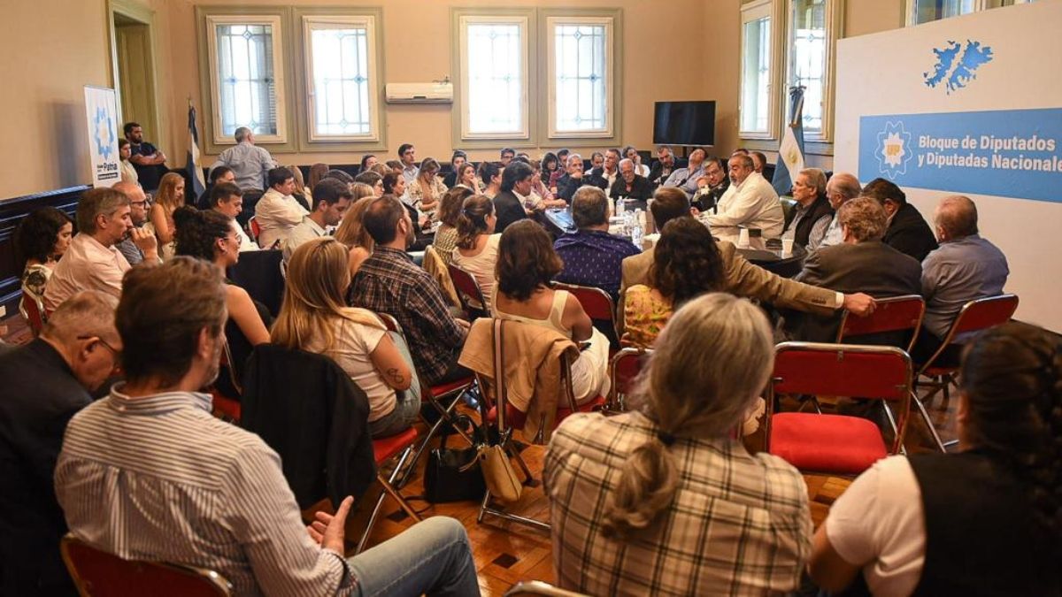 Diputados De Unión Por La Patria Respaldarán Cualquier Medida De Fuerza De La Cgt Y Cta Contra 6083