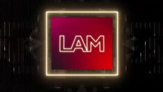 LAM tiene una nueva embarazada. LAM tiene una nueva embarazada.