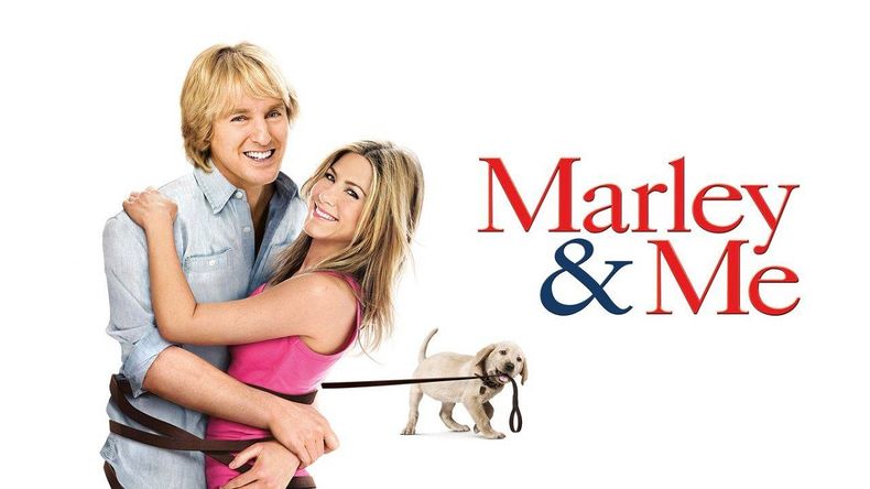La nueva película de Netflix que puede destronar a la clásica Marley y Yo.