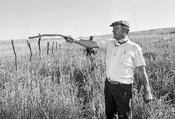 C5N | José Julián Solanille - La pERLA