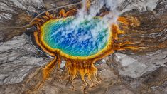 Fue hallada en una fuente termal ácida del Parque Nacional de Yellowstone. Fue hallada en una fuente termal ácida del Parque Nacional de Yellowstone.